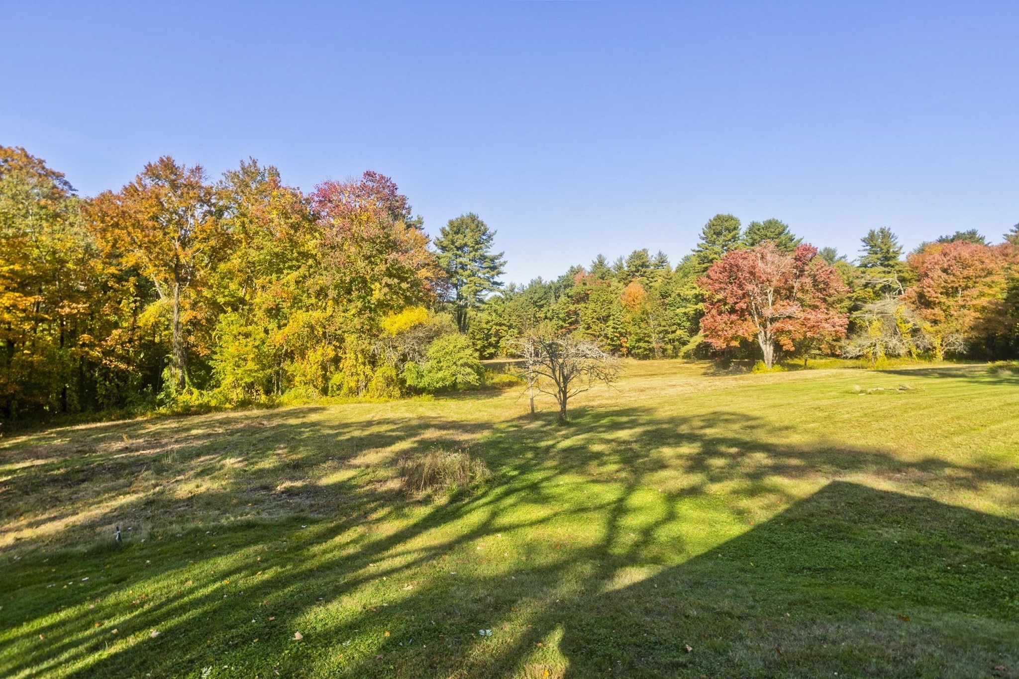 88 Buffam Rd