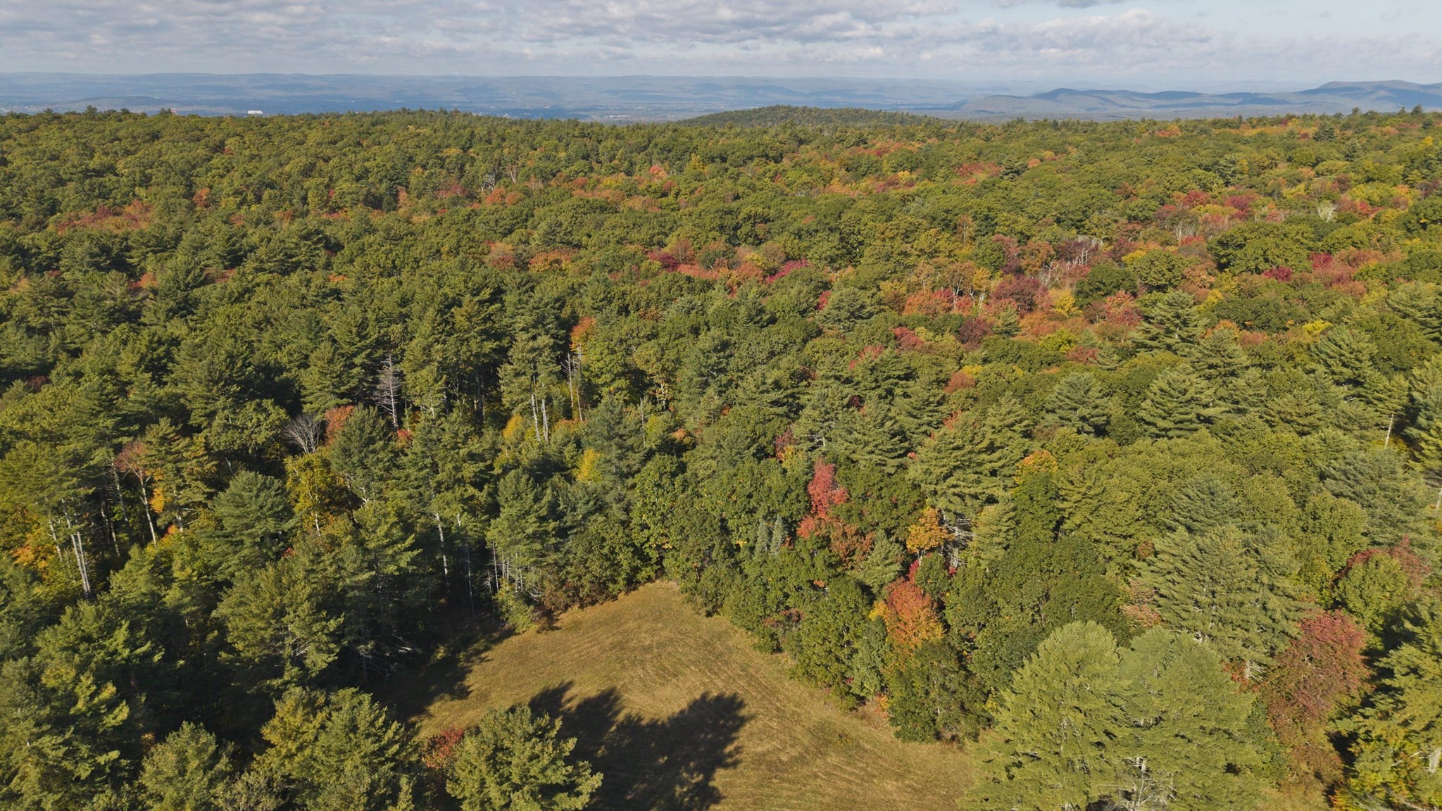 Lot 1C Buffam Rd