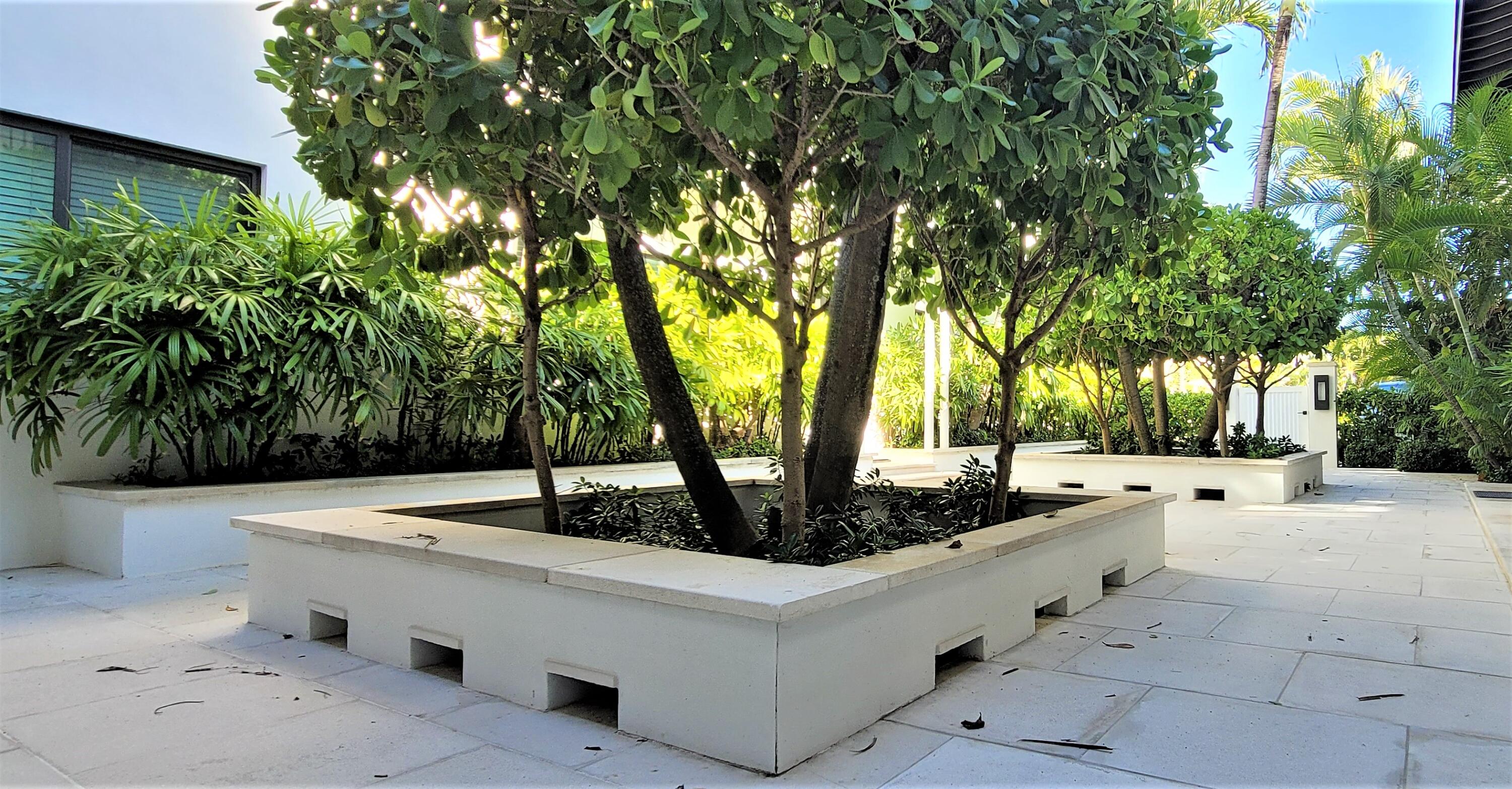 122 Peruvian Avenue 14-A