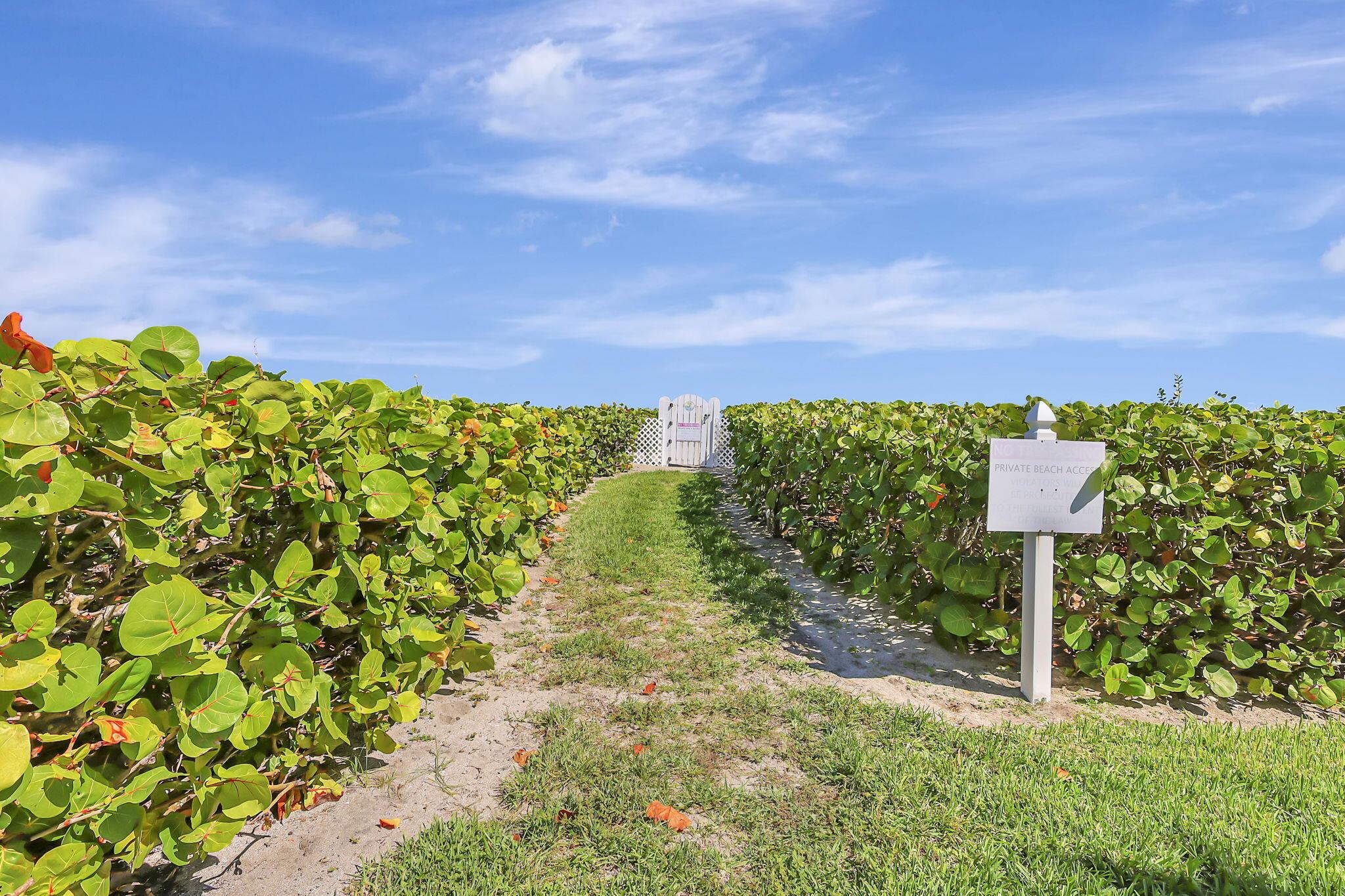 1550 S Ocean Drive D-19