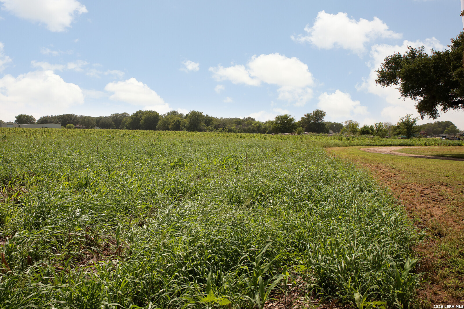4901 LOWER SEGUIN (5 Acres) RD