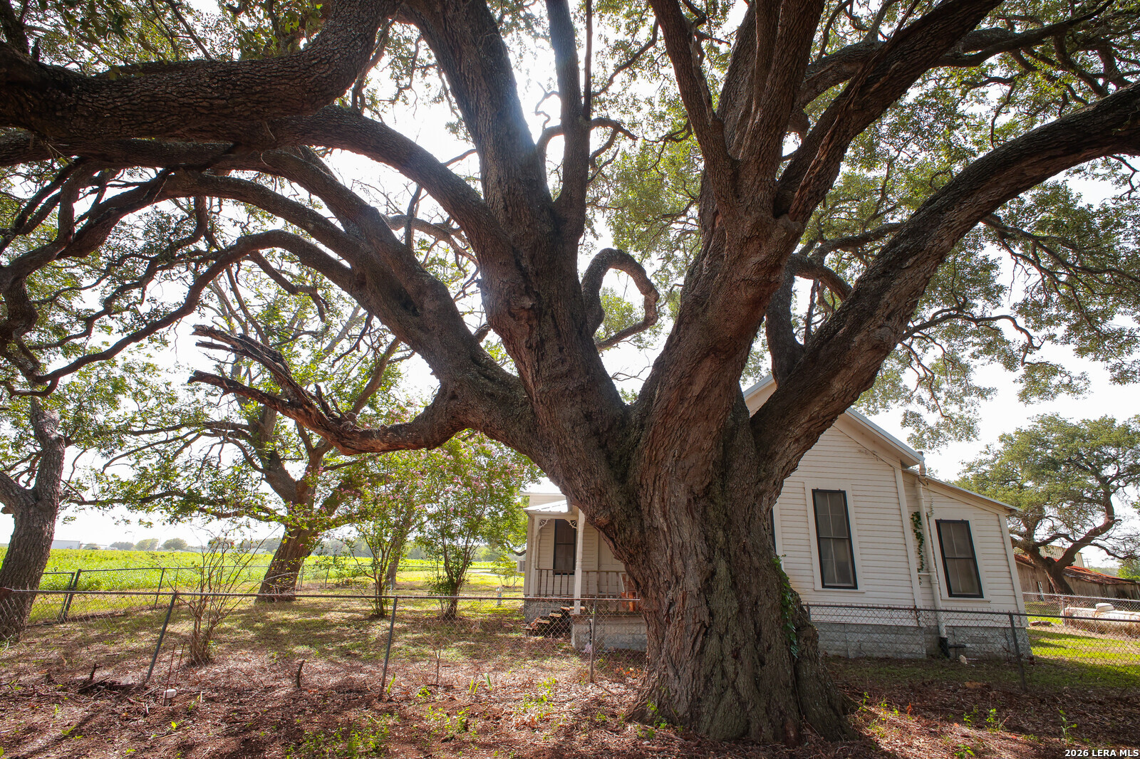 4901 LOWER SEGUIN (5 Acres) RD