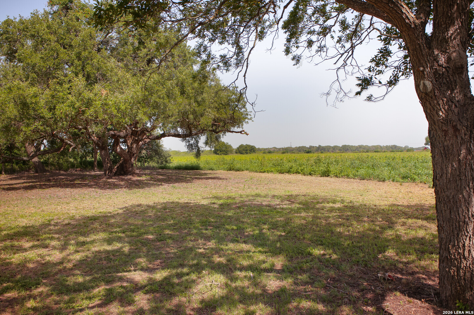 4901 LOWER SEGUIN (5 Acres) RD