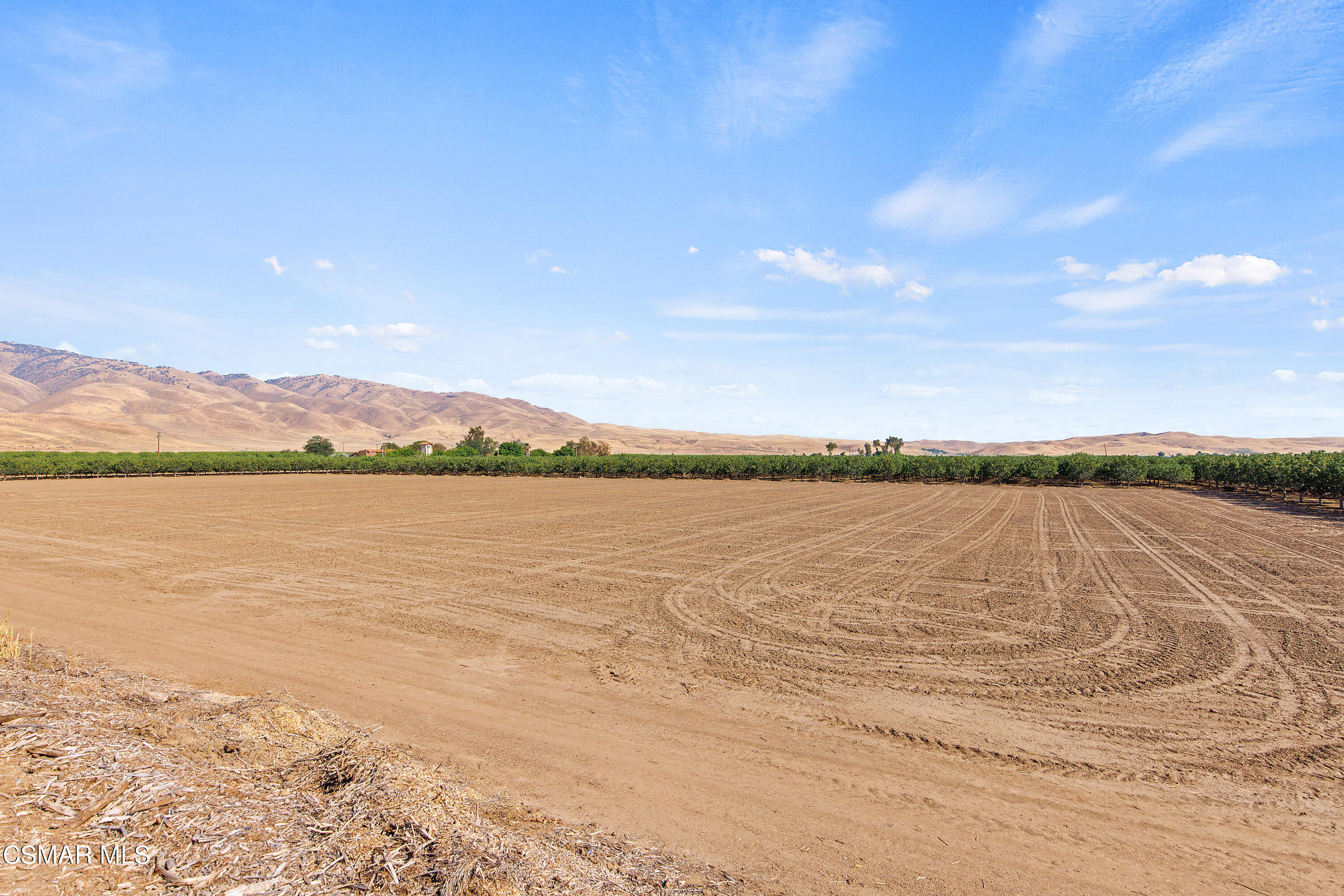 Tejon Highway
