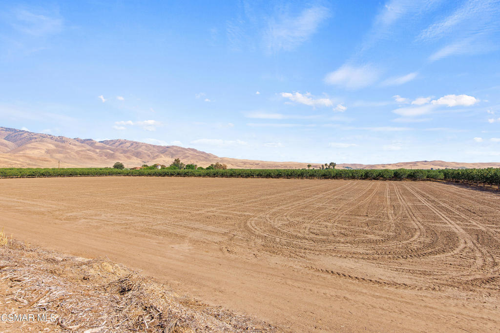 Tejon Highway