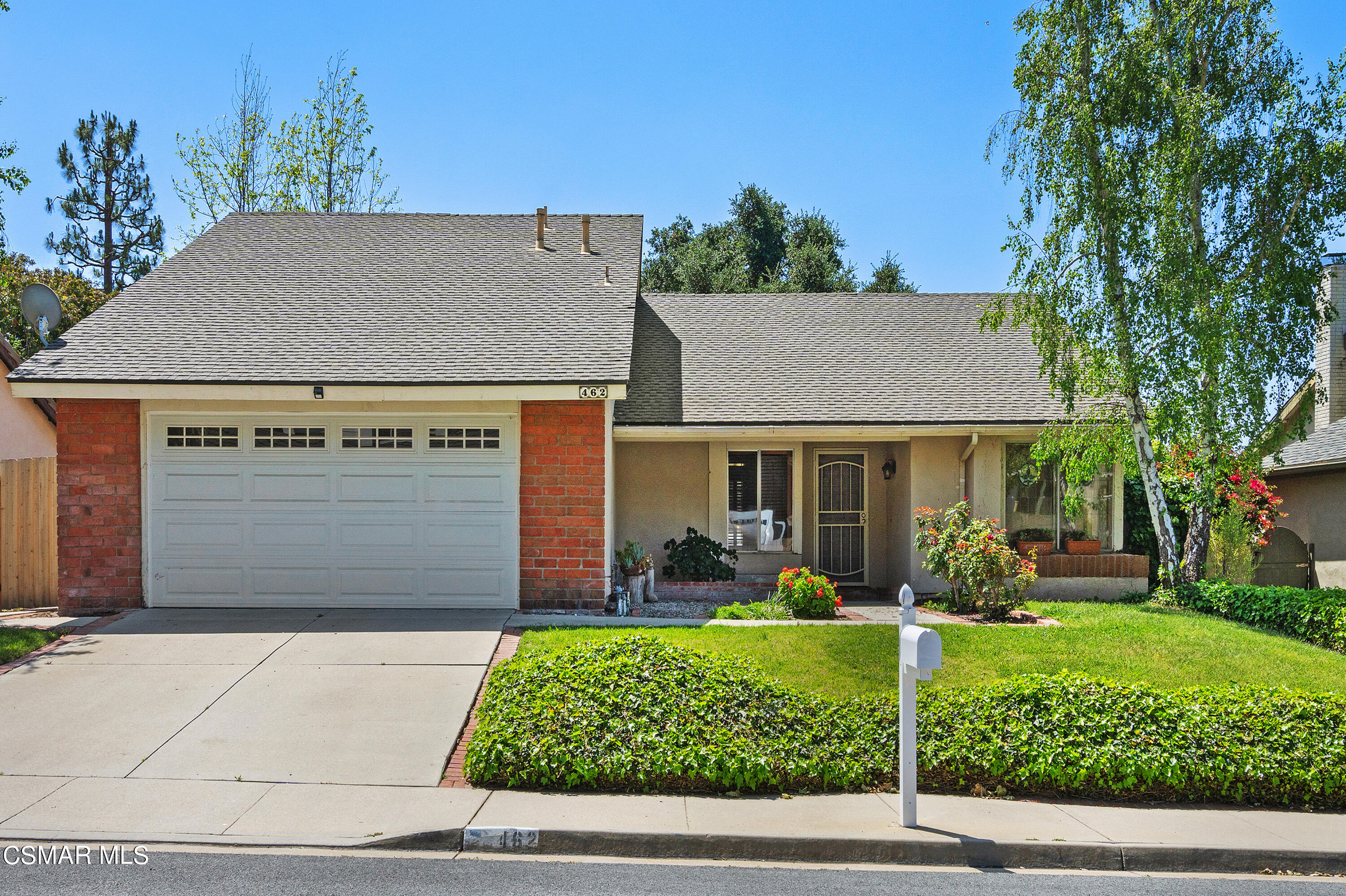 462 Raindance Street