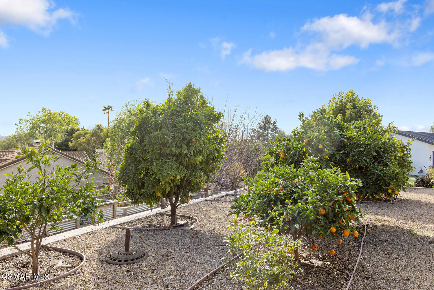 11298 Barranca Road, Santa Rosa (VEN)