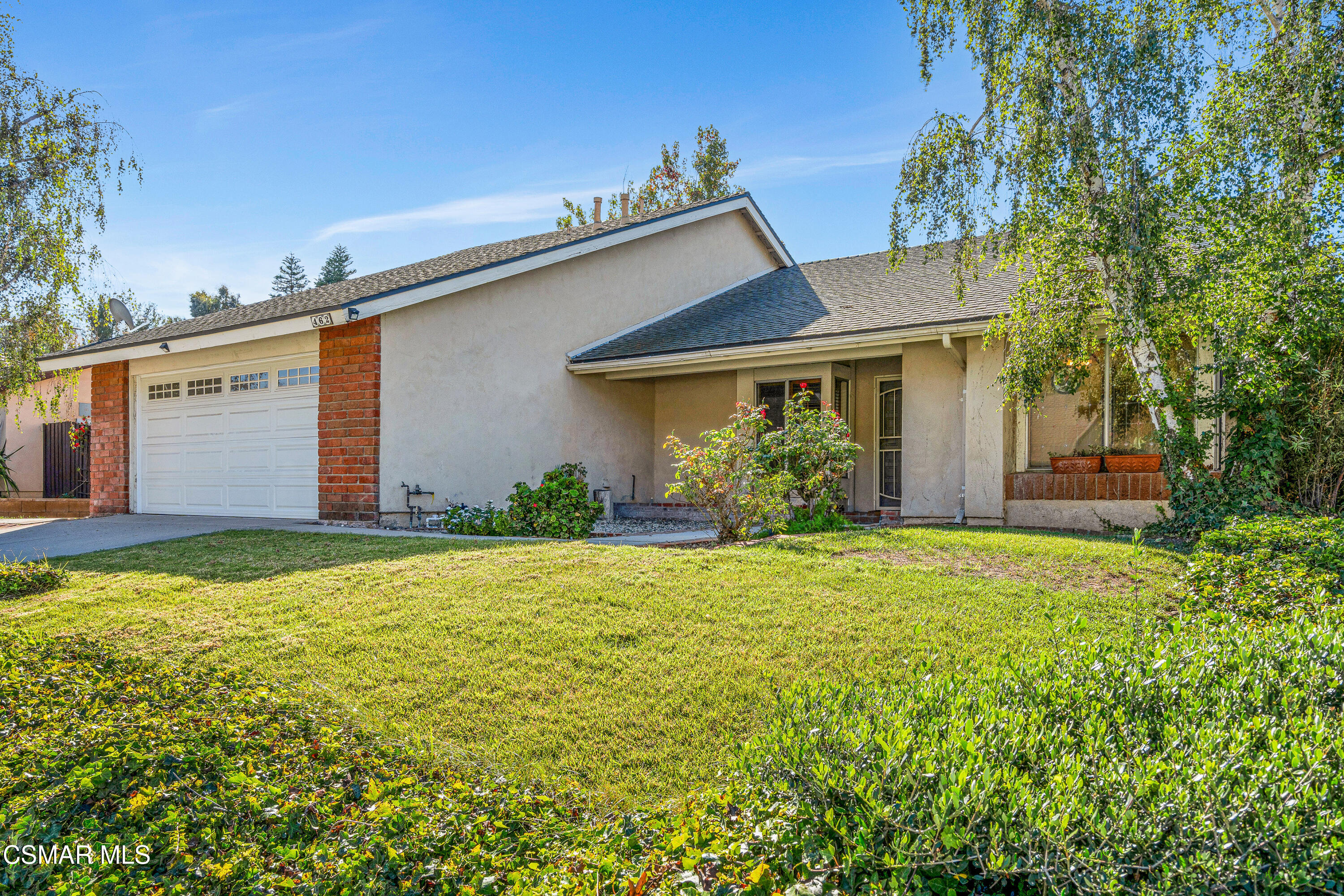 462 Raindance Street