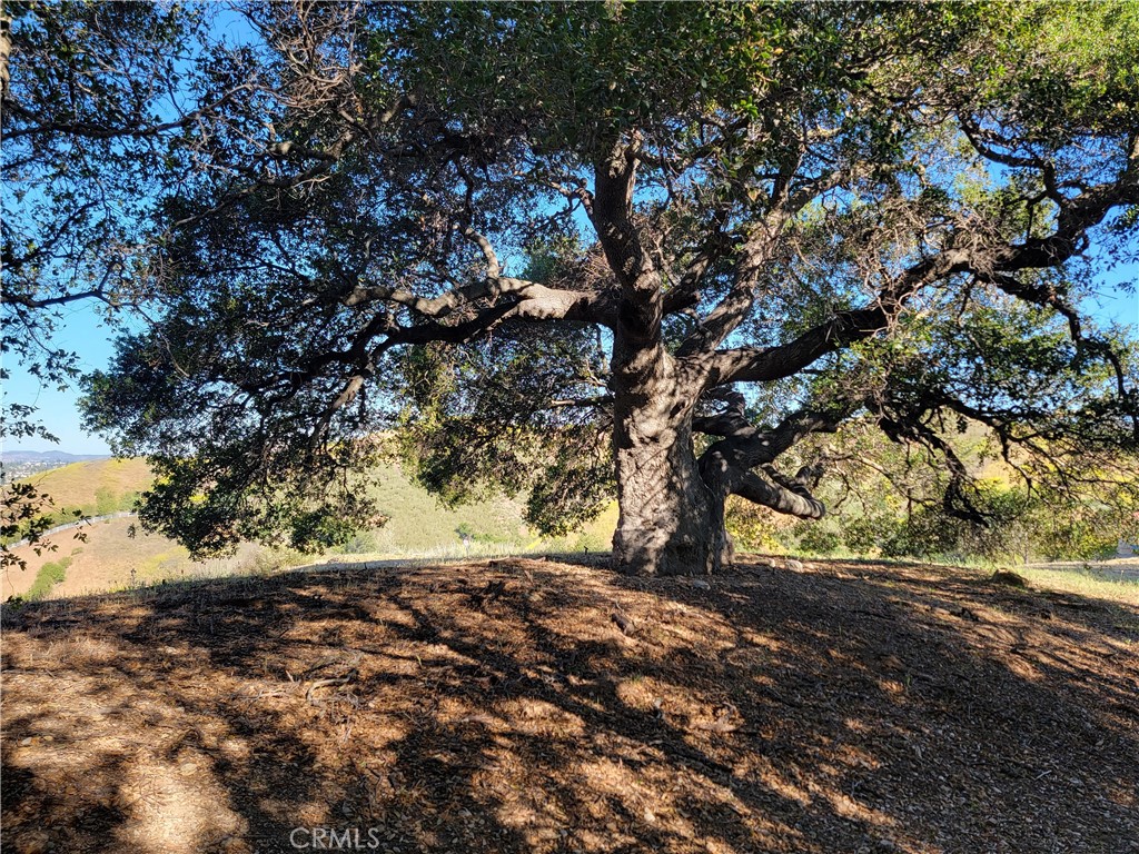 28343 Foothill Drive