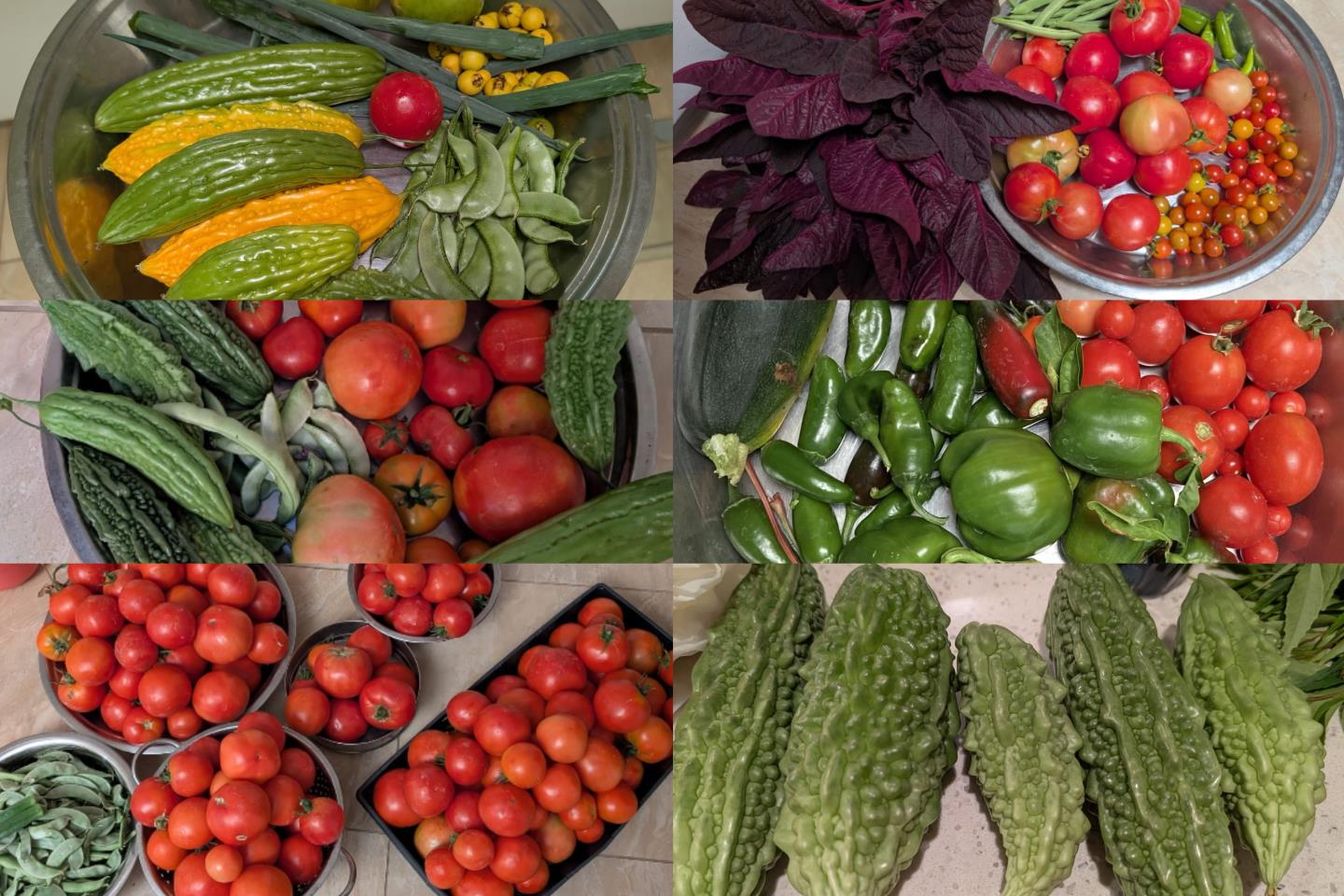 450 Stratford Park Court