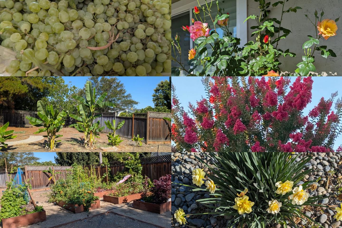 450 Stratford Park Court