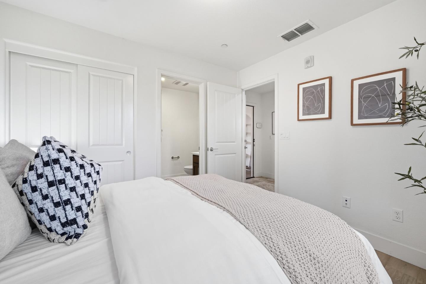 37616 Pimento Common