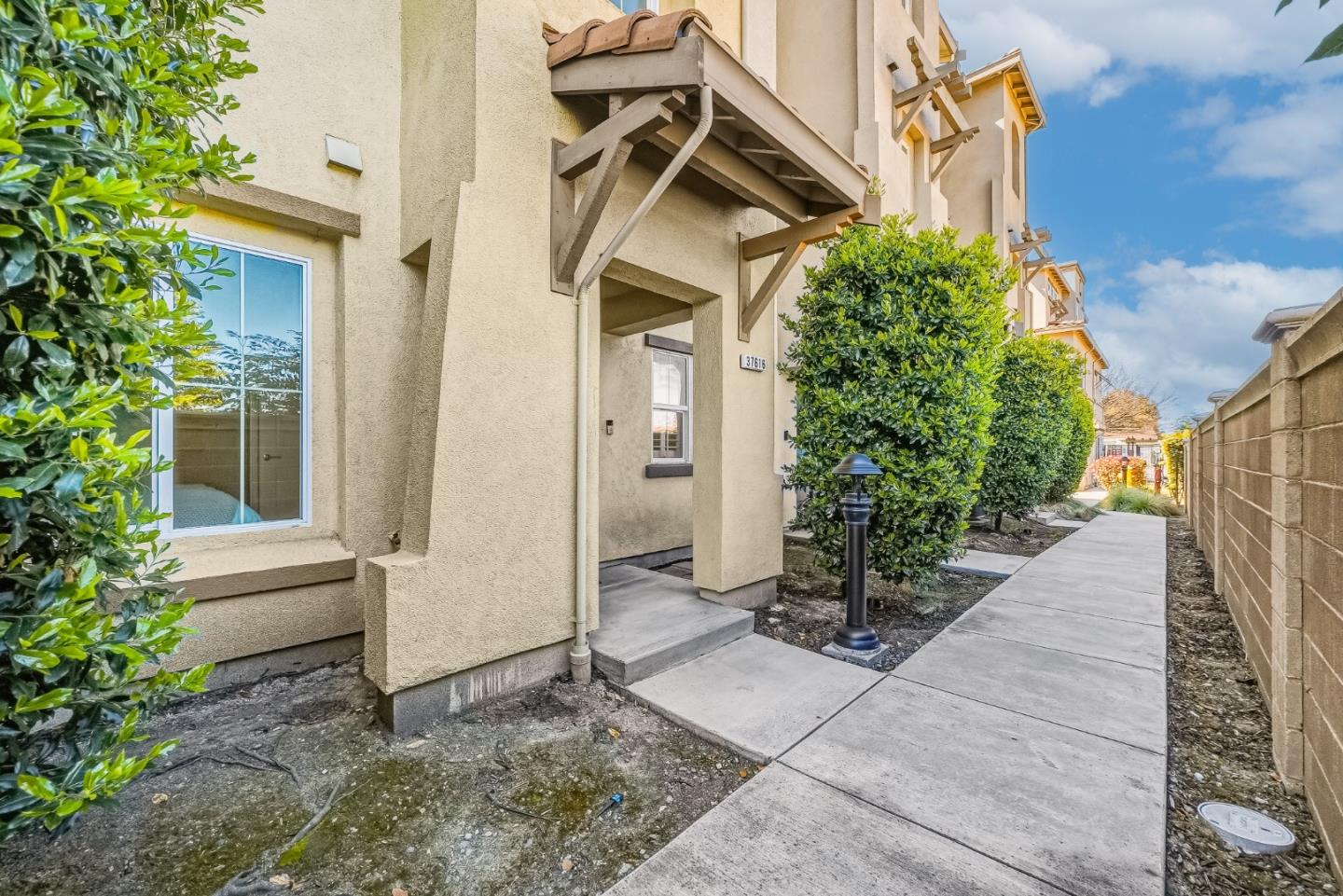 37616 Pimento Common