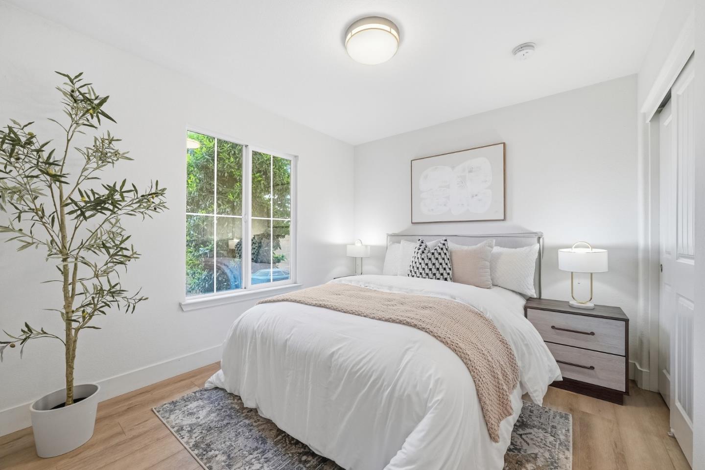 37616 Pimento Common