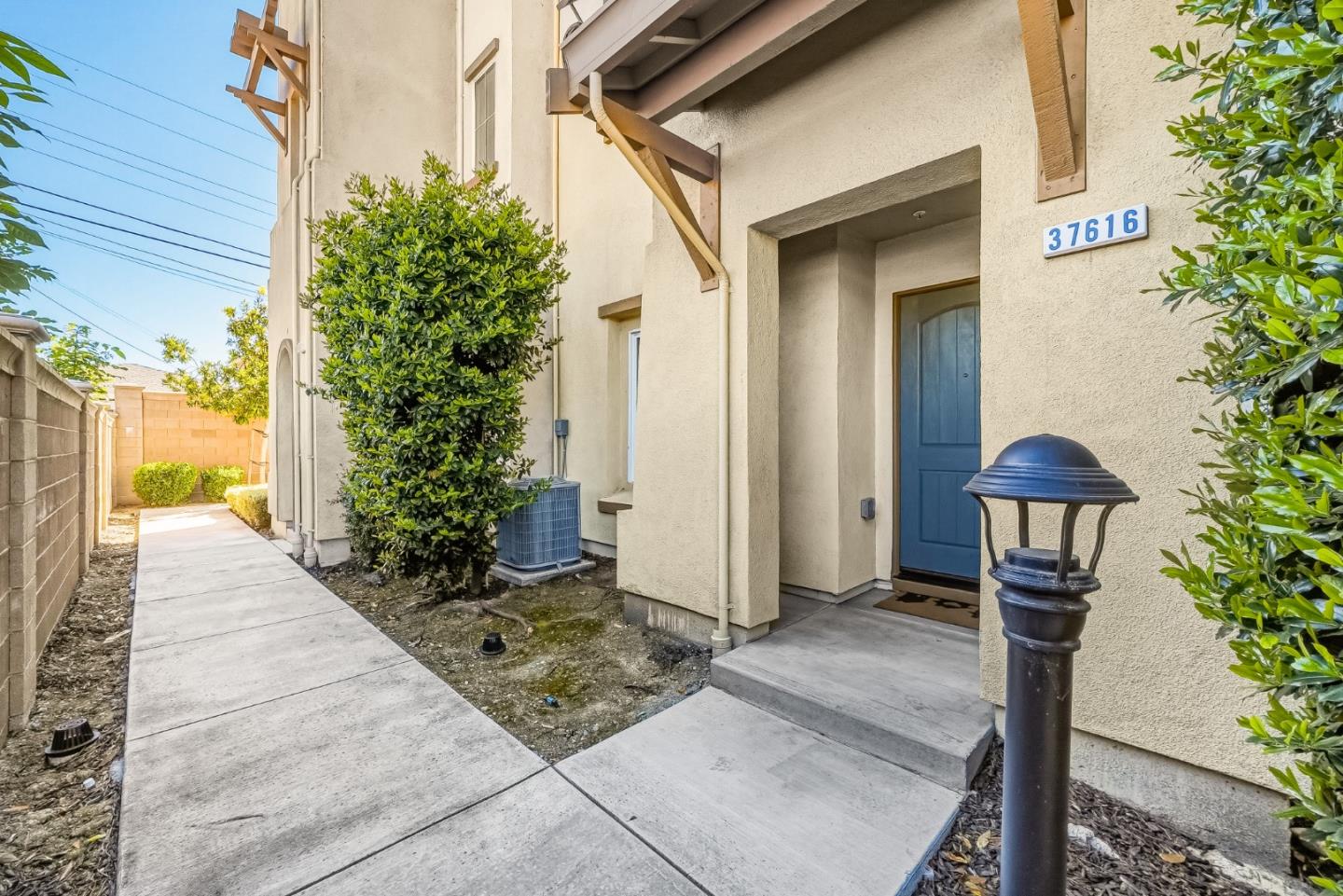 37616 Pimento Common