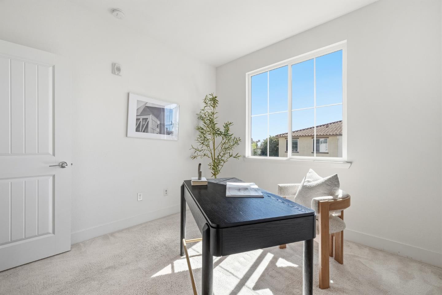 37616 Pimento Common