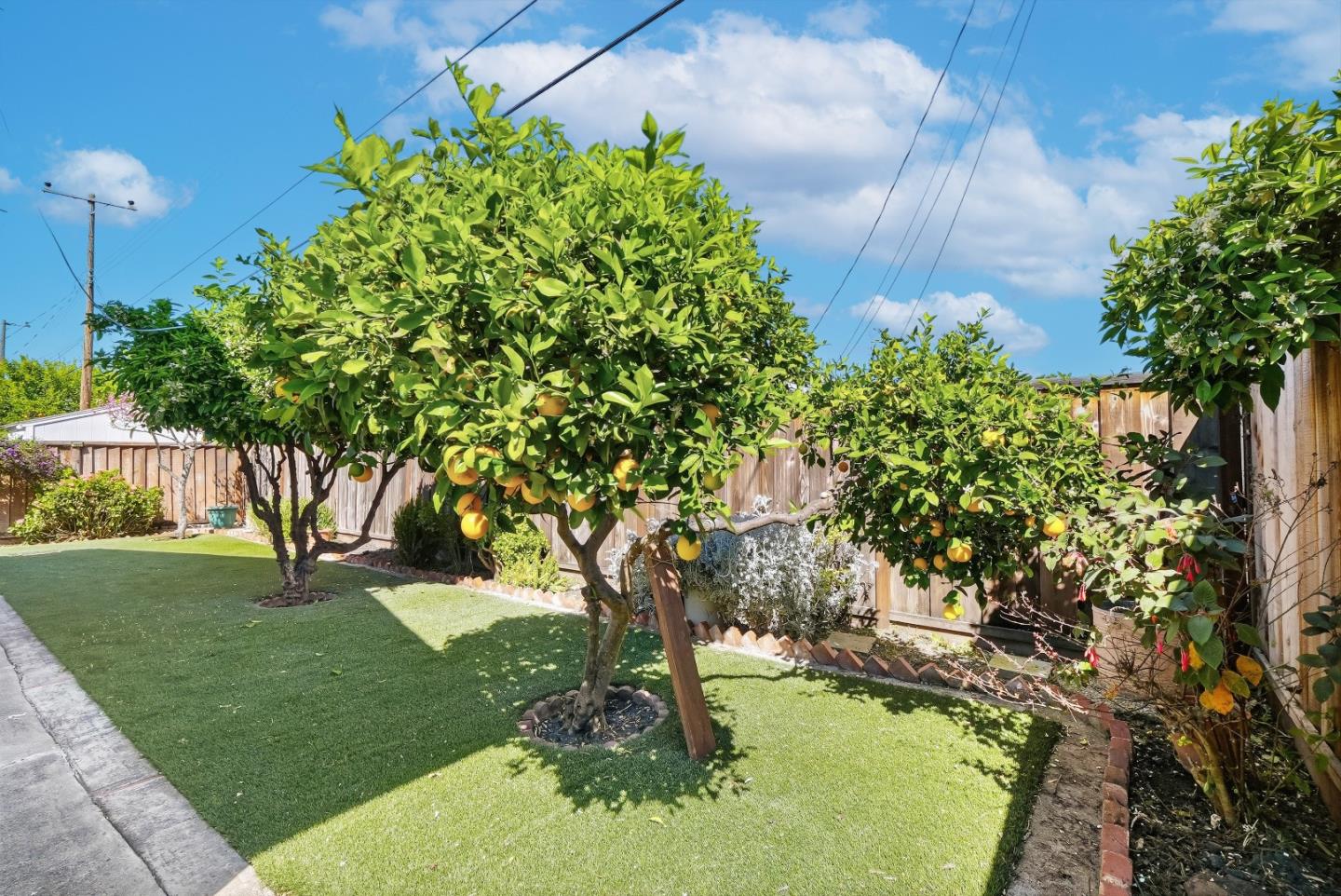 2177 Santa Cruz Avenue