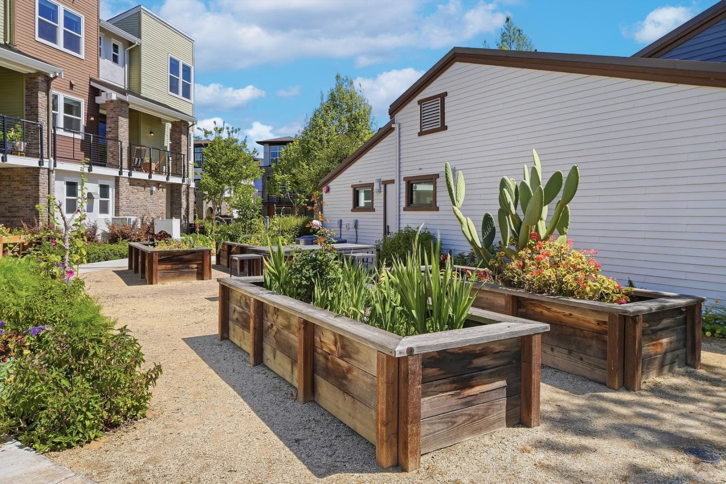 846 Cotati Terrace 7