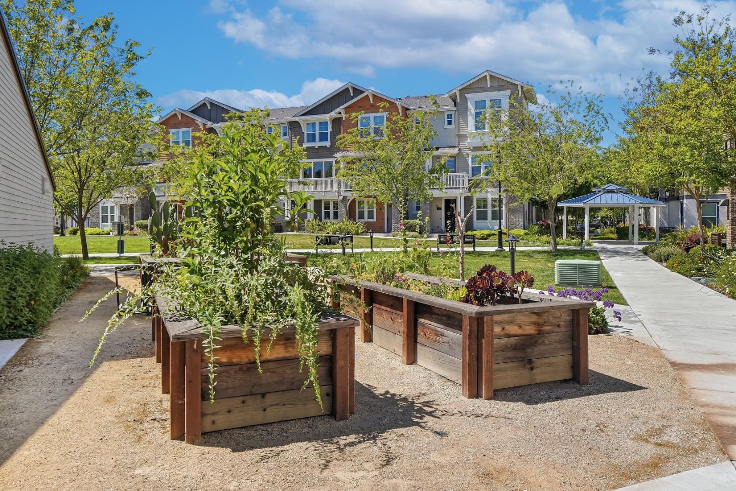 846 Cotati Terrace 7