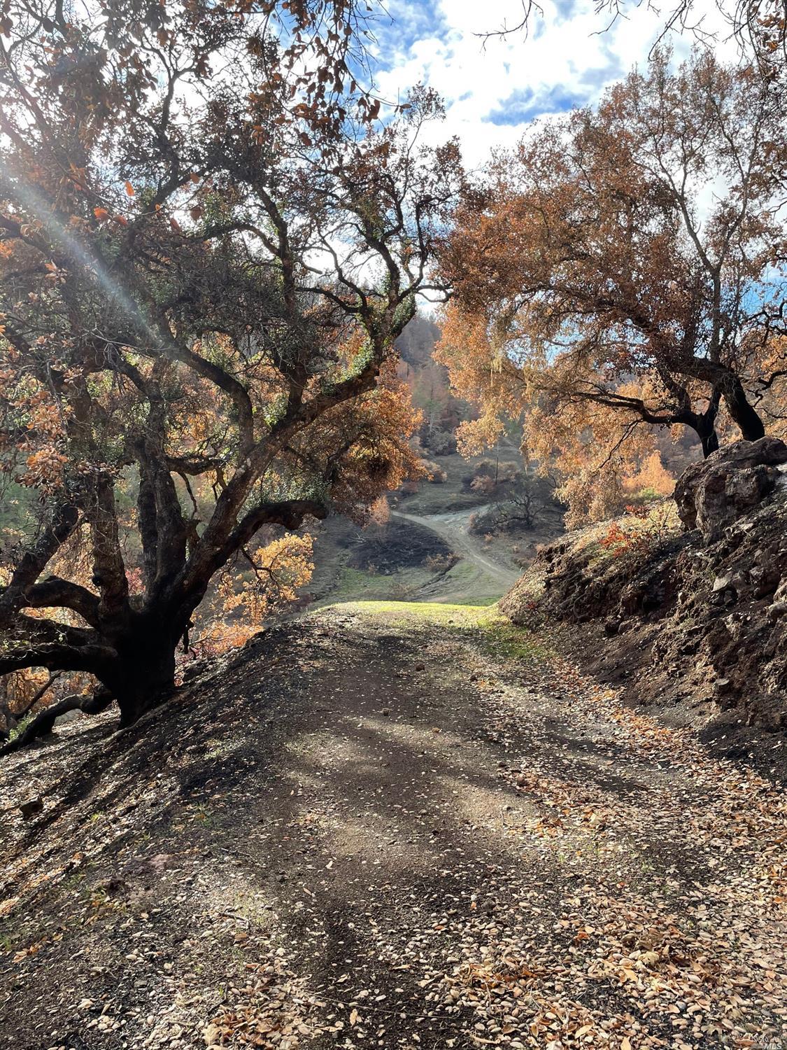 4100 Wallace Creek Rd