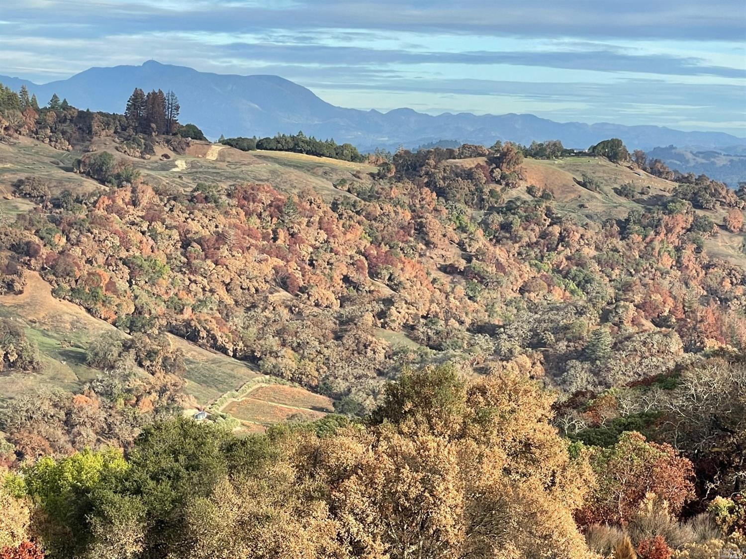 4100 Wallace Creek Rd