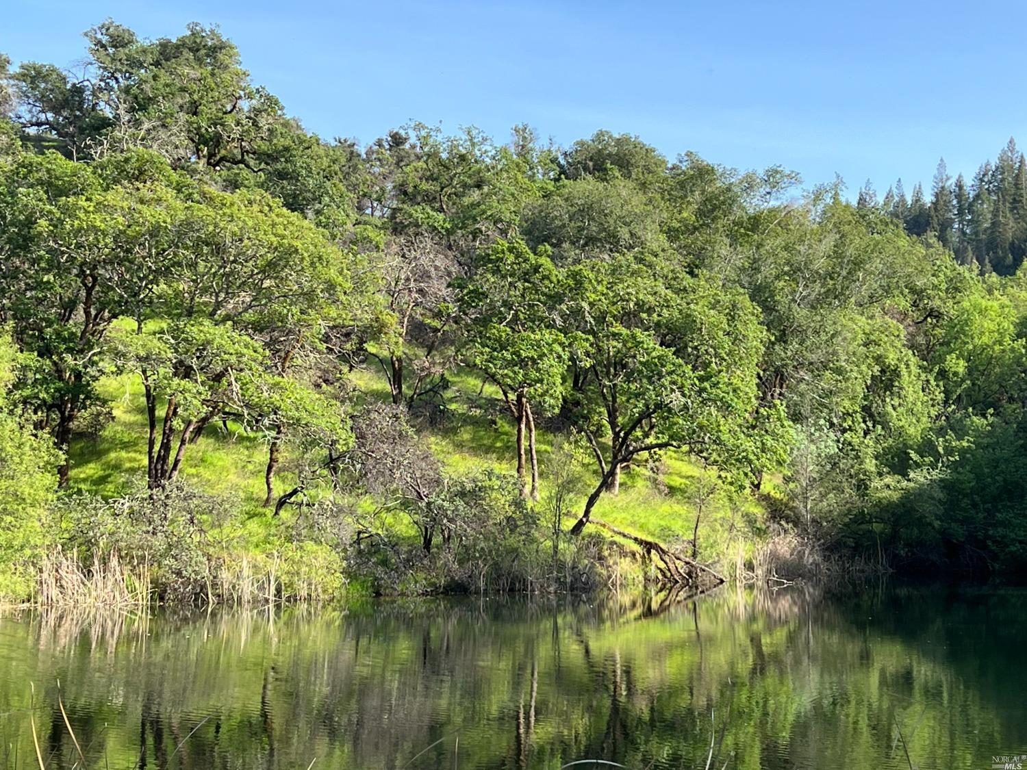 4100 Wallace Creek Rd