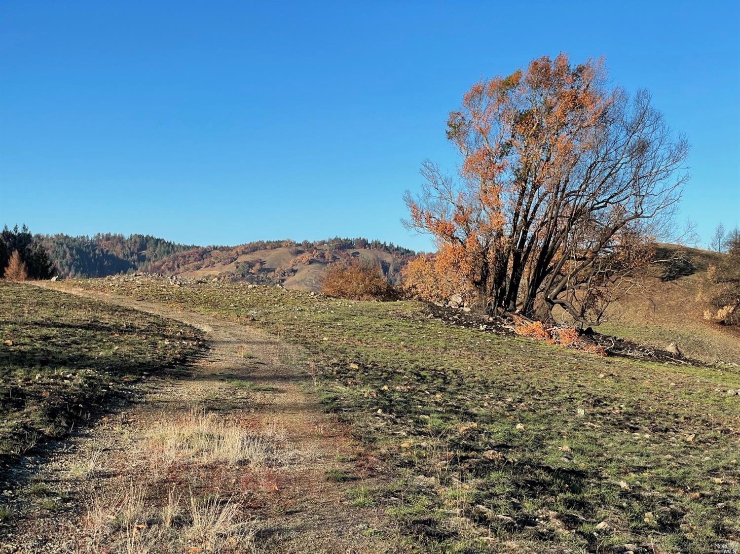 4100 Wallace Creek Rd