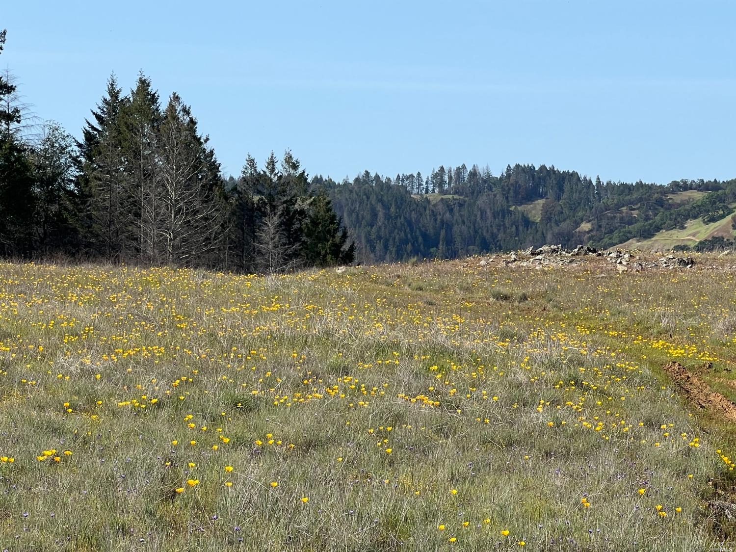 4100 Wallace Creek Rd