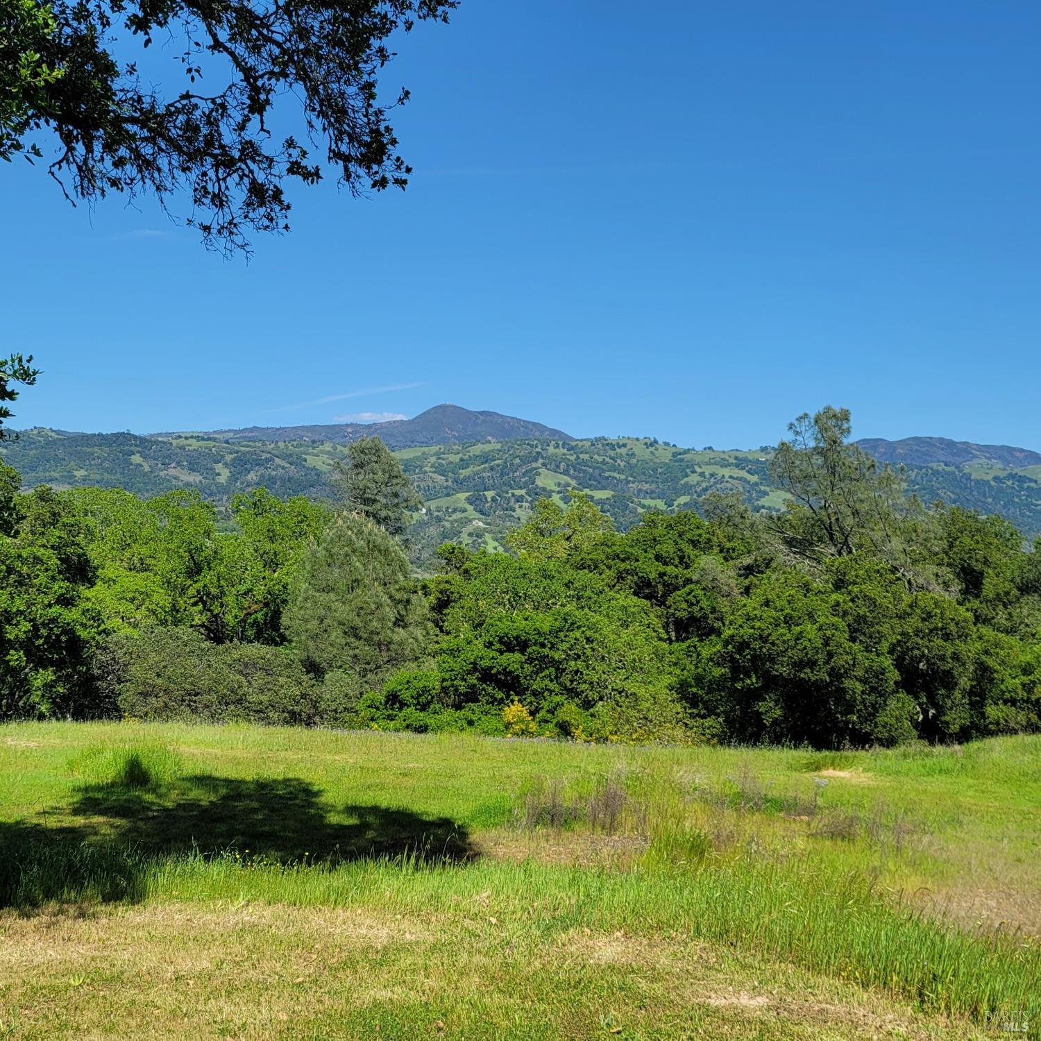 350 Canyon Rd