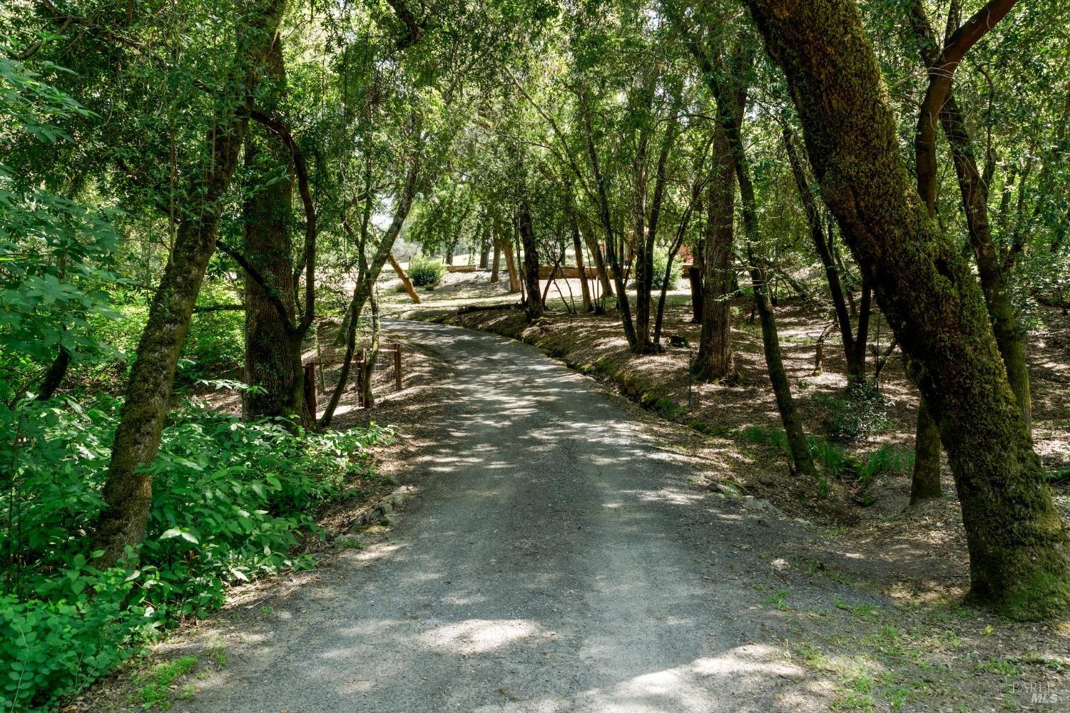 350 Canyon Rd