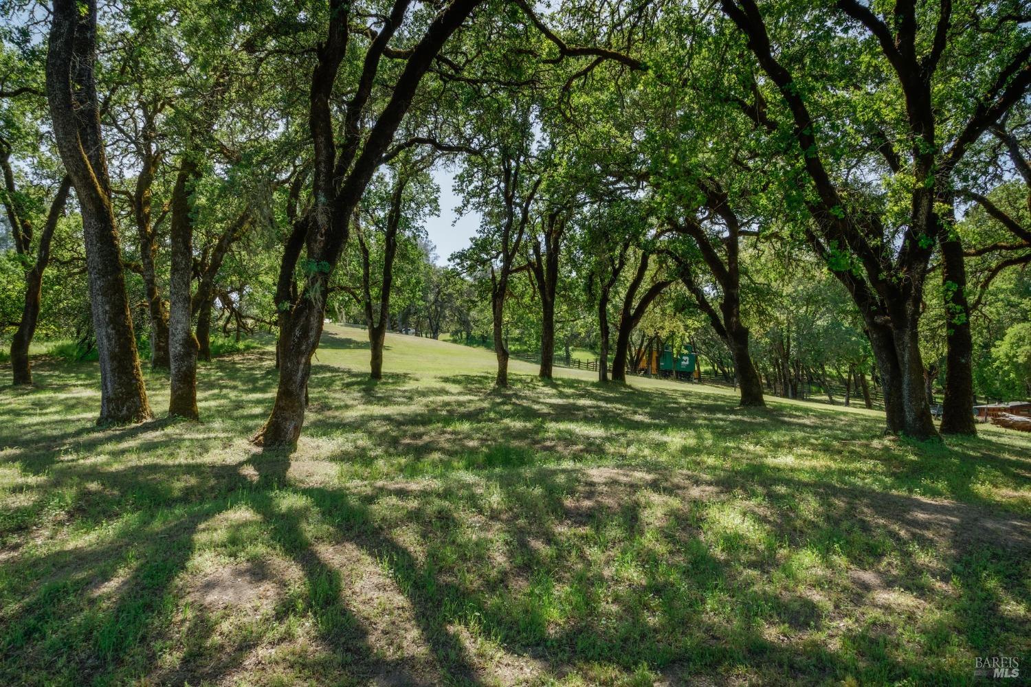 350 Canyon Rd