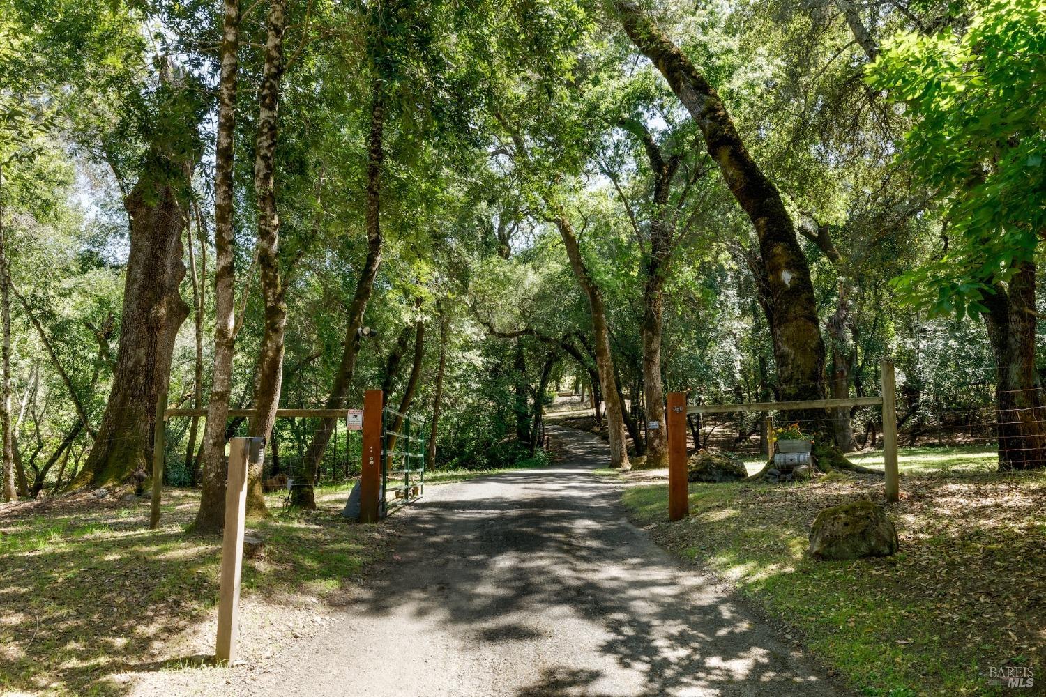 350 Canyon Rd