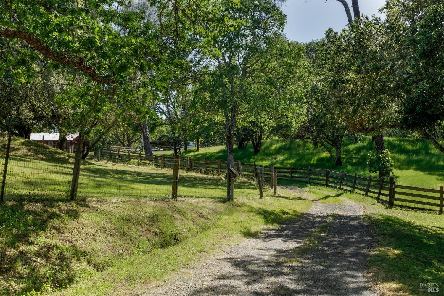 350 Canyon Rd