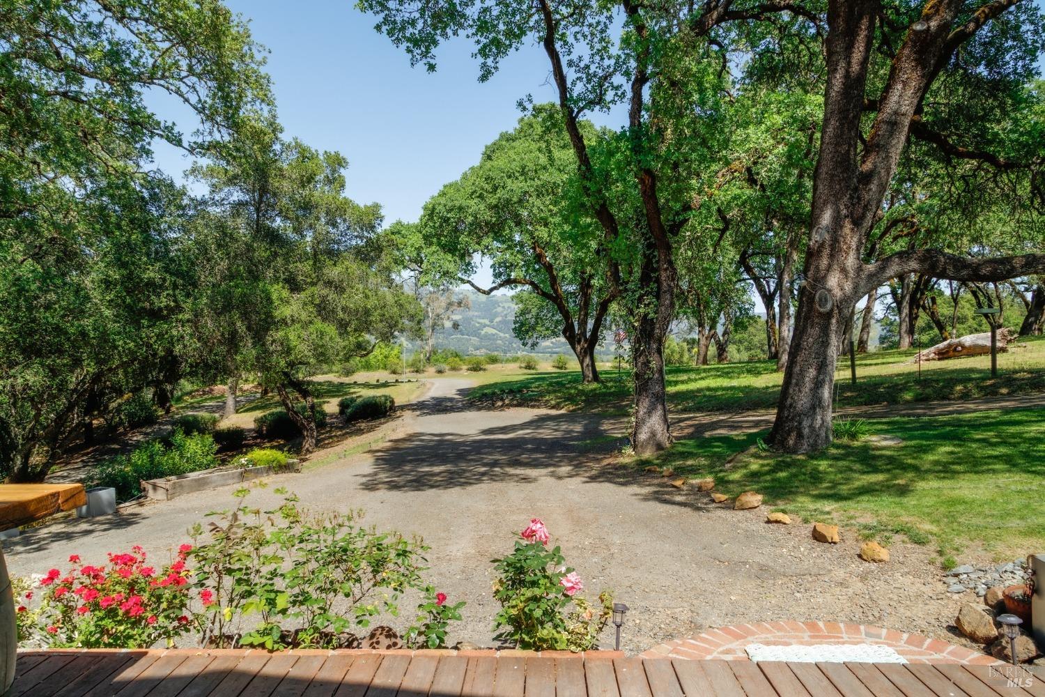 350 Canyon Rd