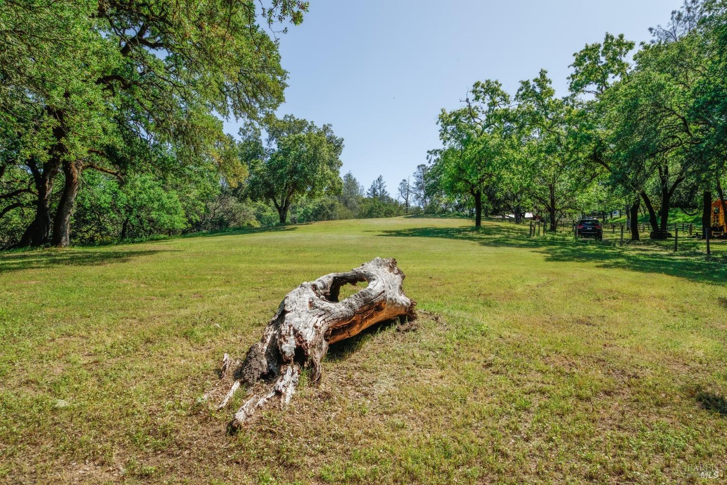 350 Canyon Rd