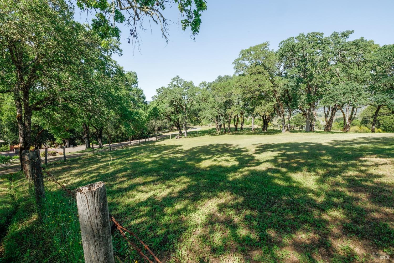 350 Canyon Rd