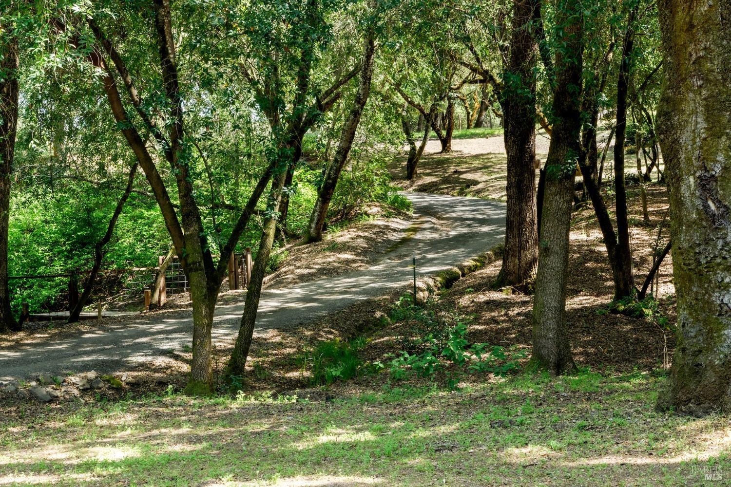 350 Canyon Rd