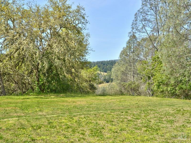 950 Canyon Rd