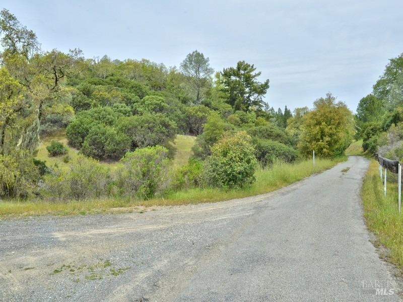950 Canyon Rd