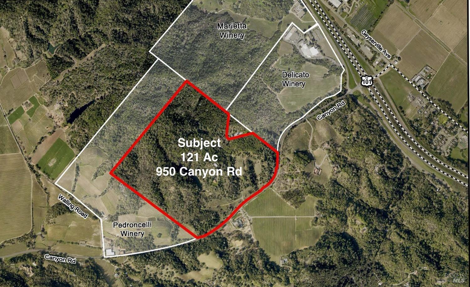 950 Canyon Rd