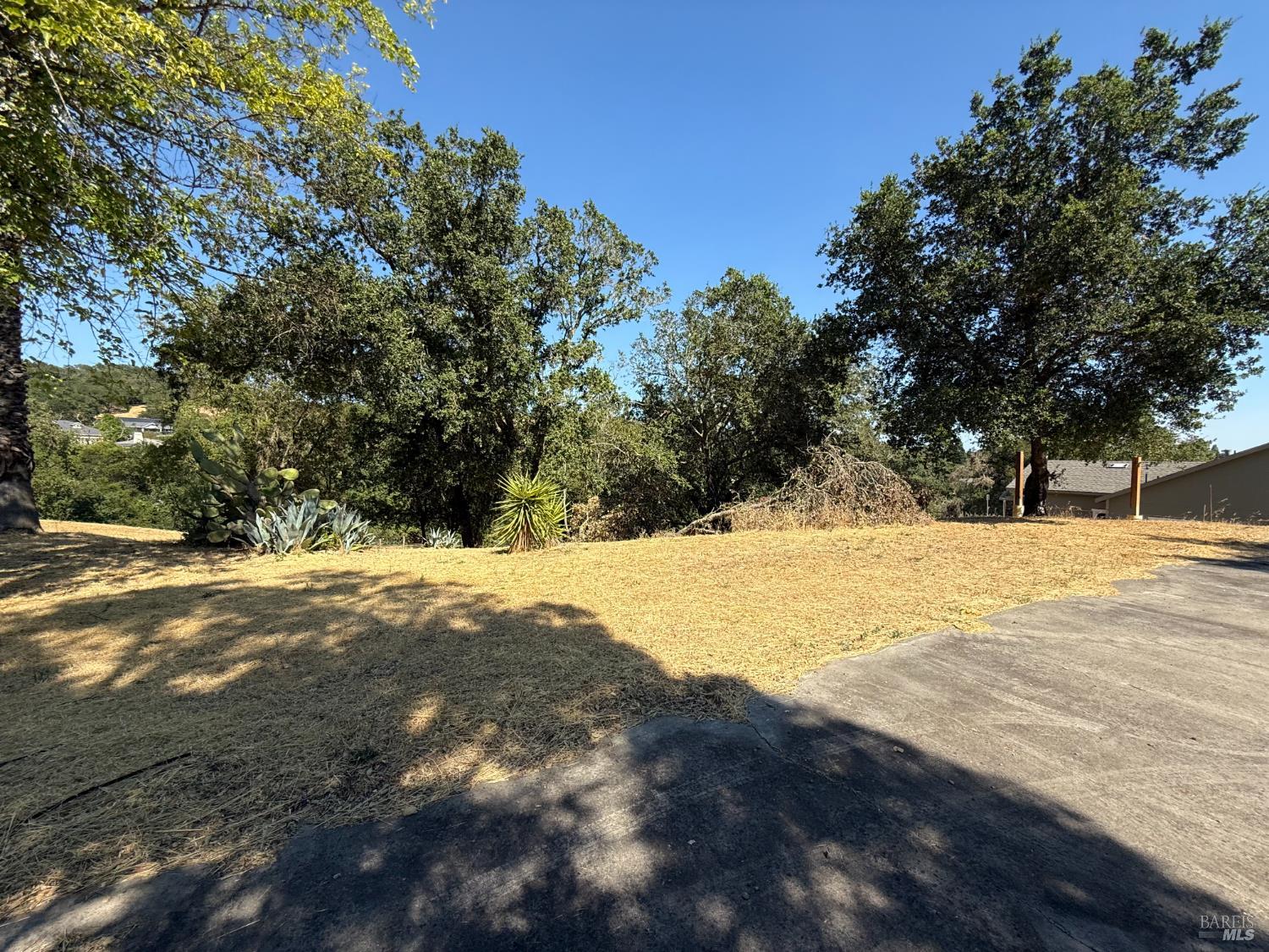 1584 Healdsburg Ave