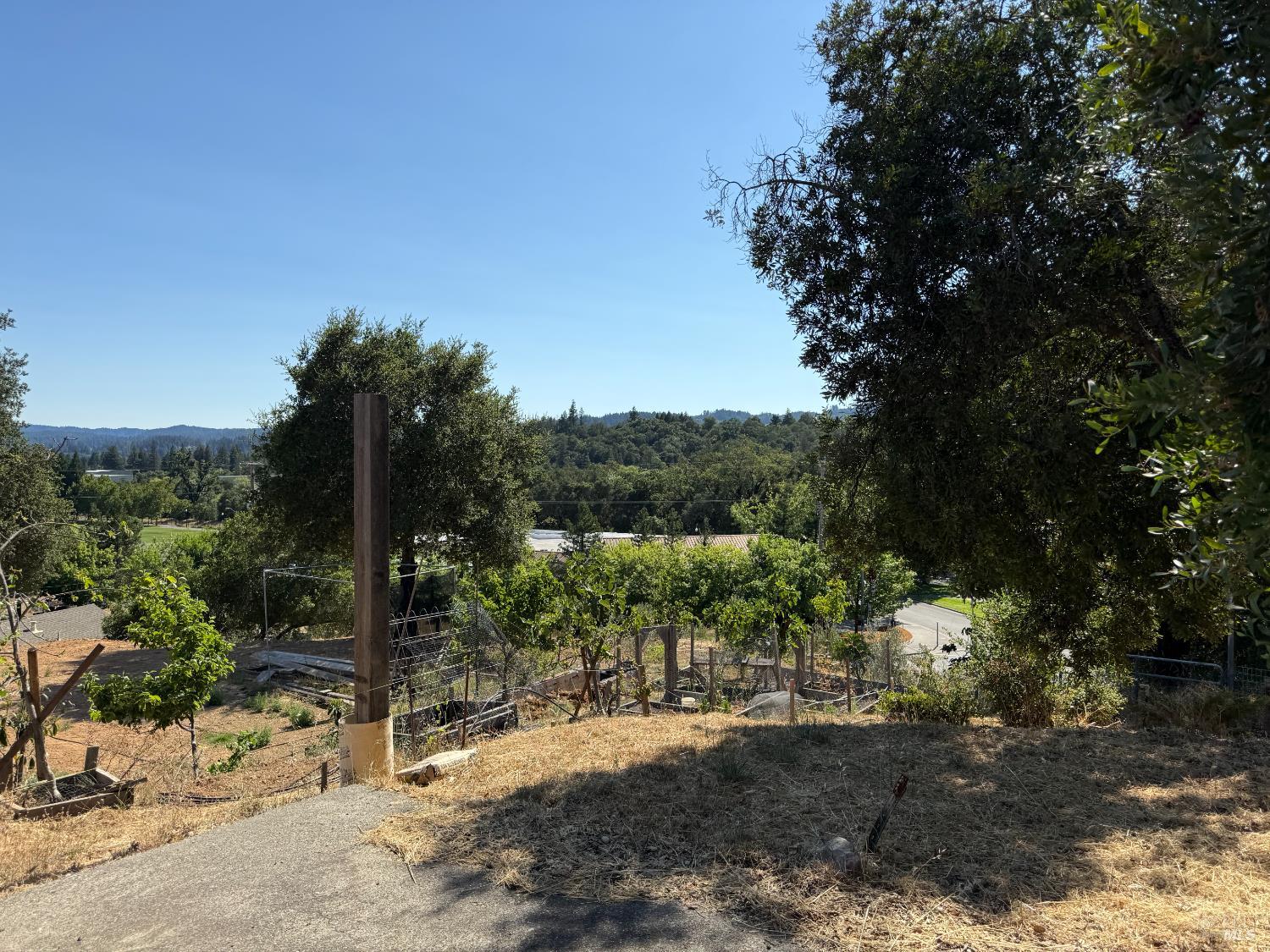 1584 Healdsburg Ave