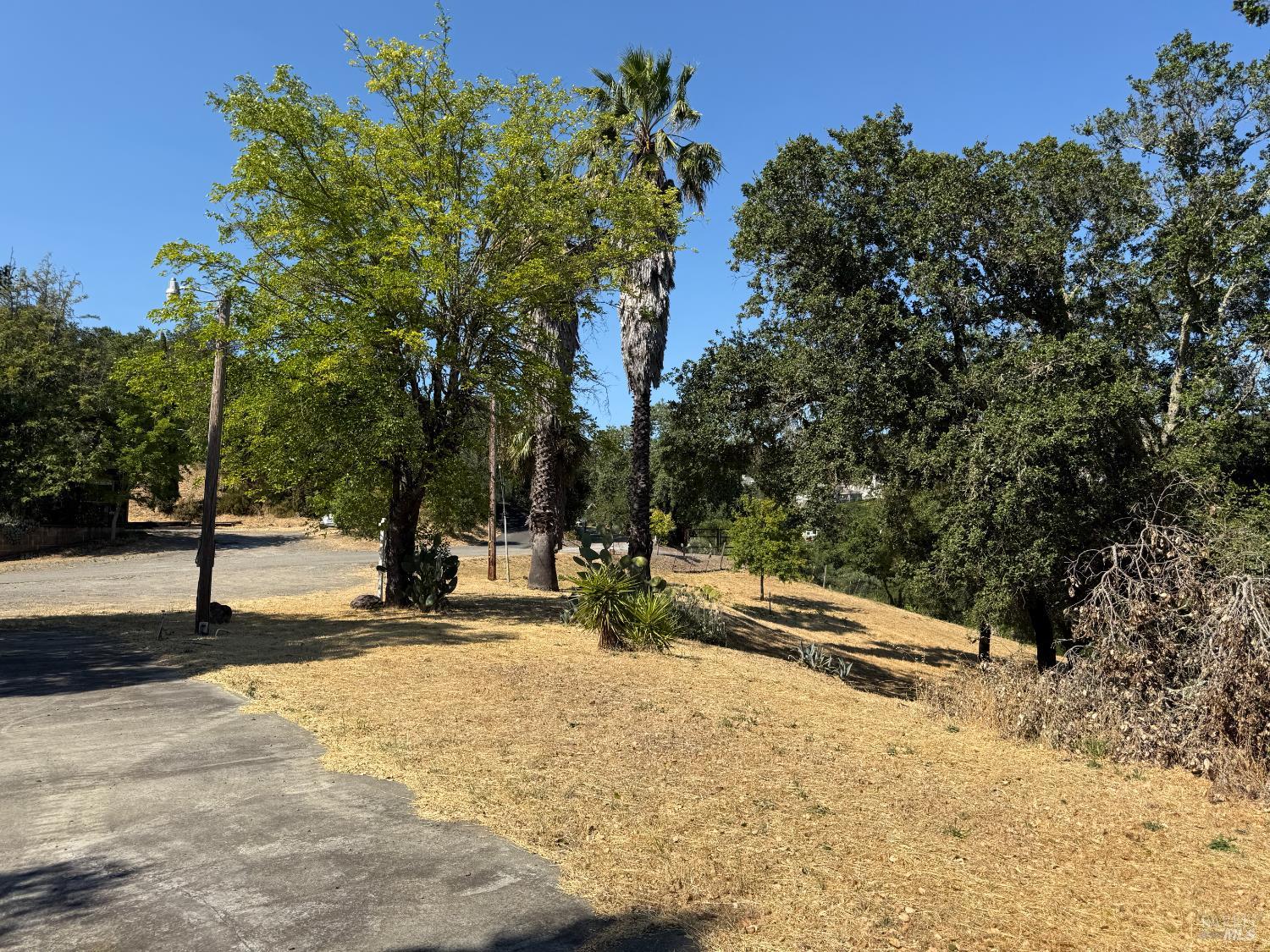 1584 Healdsburg Ave