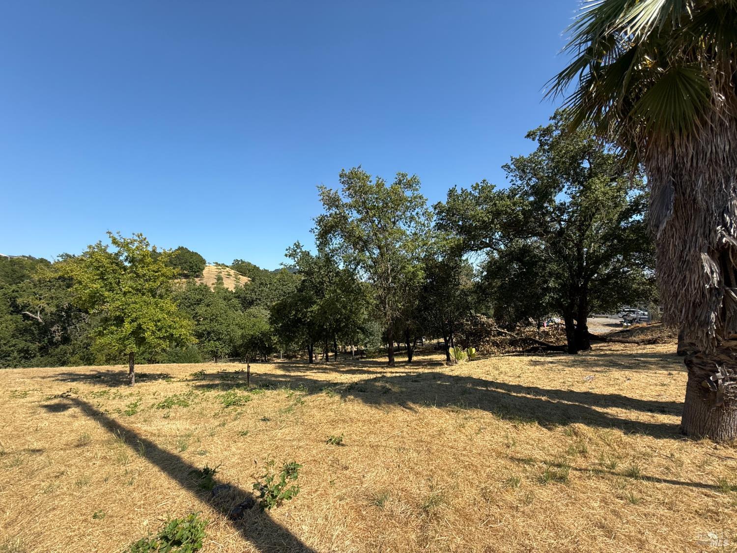 1584 Healdsburg Ave