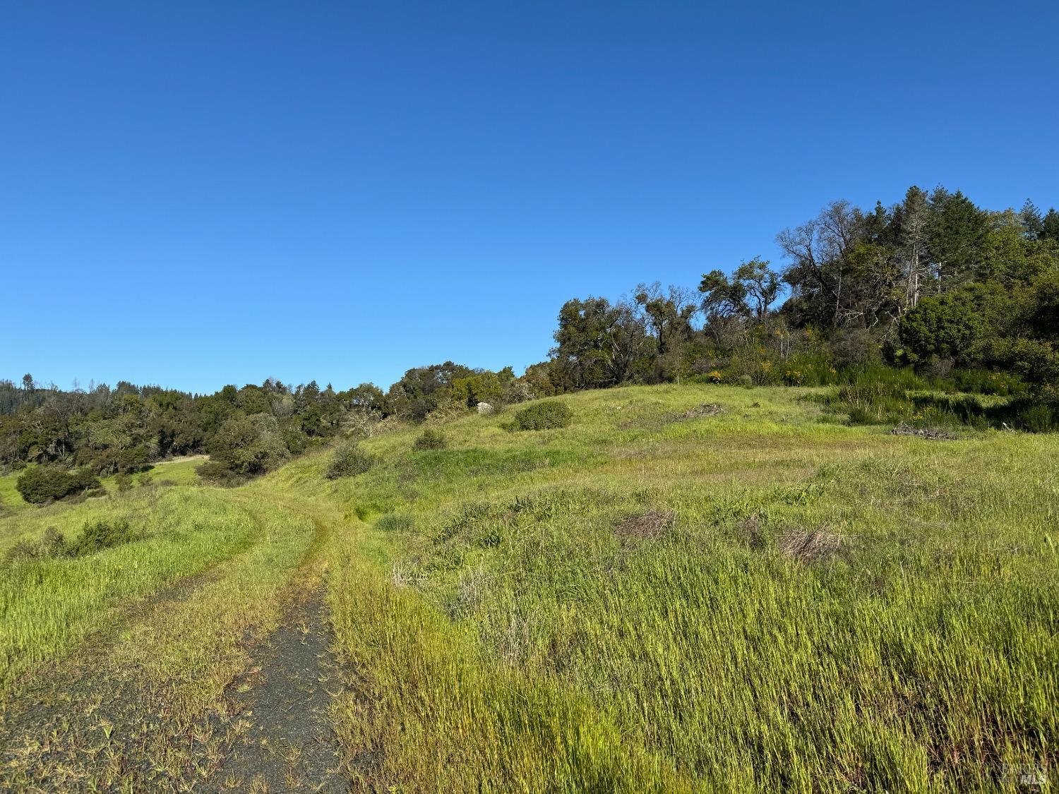 2660 Wallace Creek Road