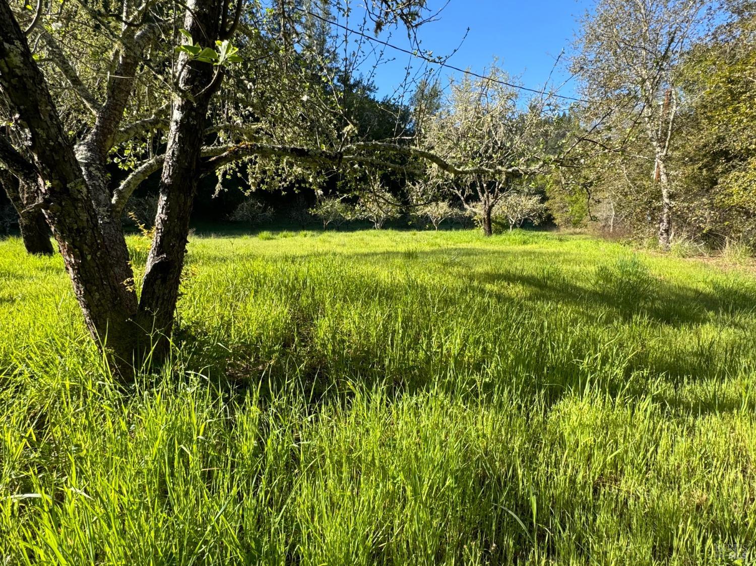 2660 Wallace Creek Road