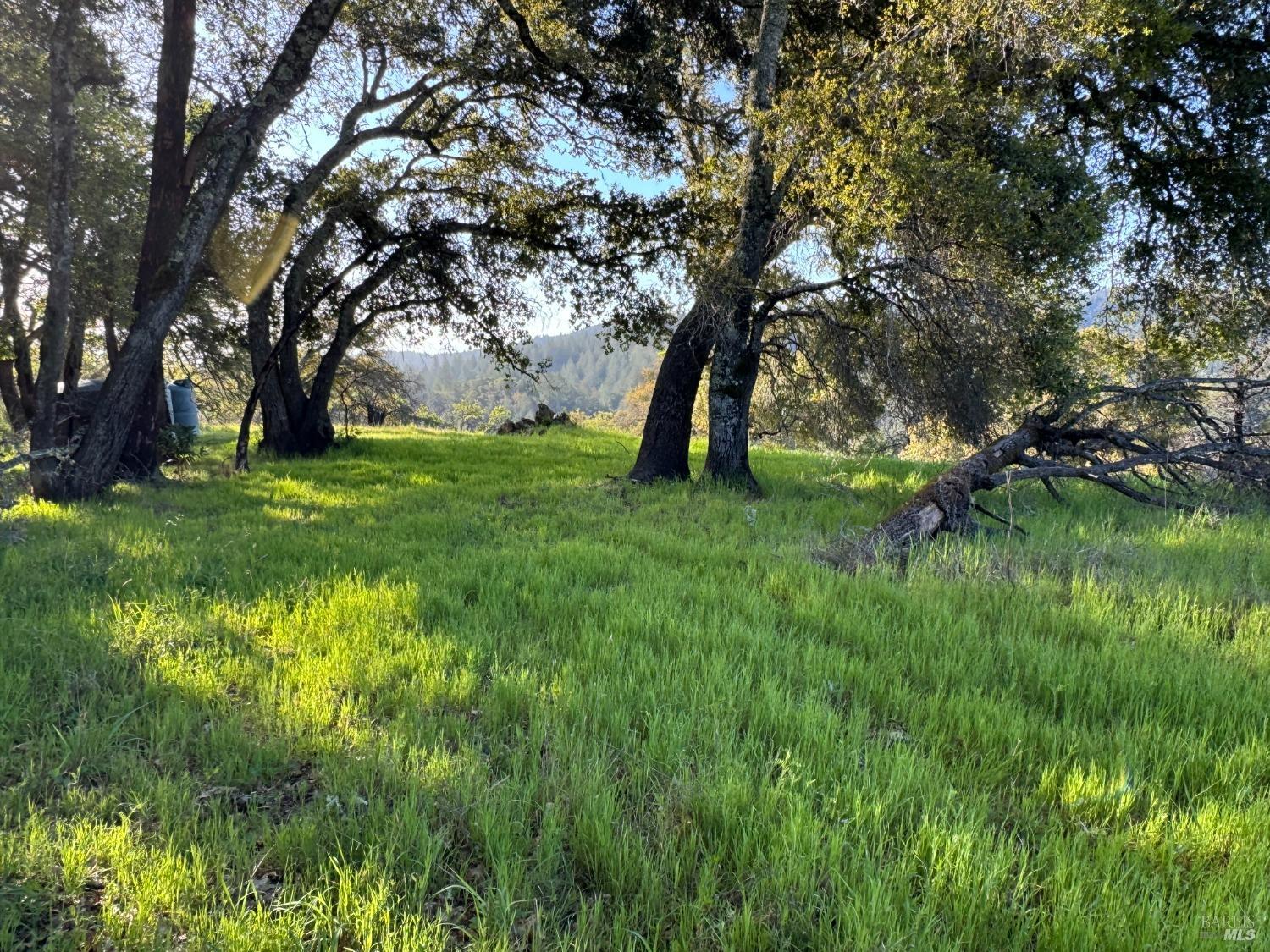 2660 Wallace Creek Road