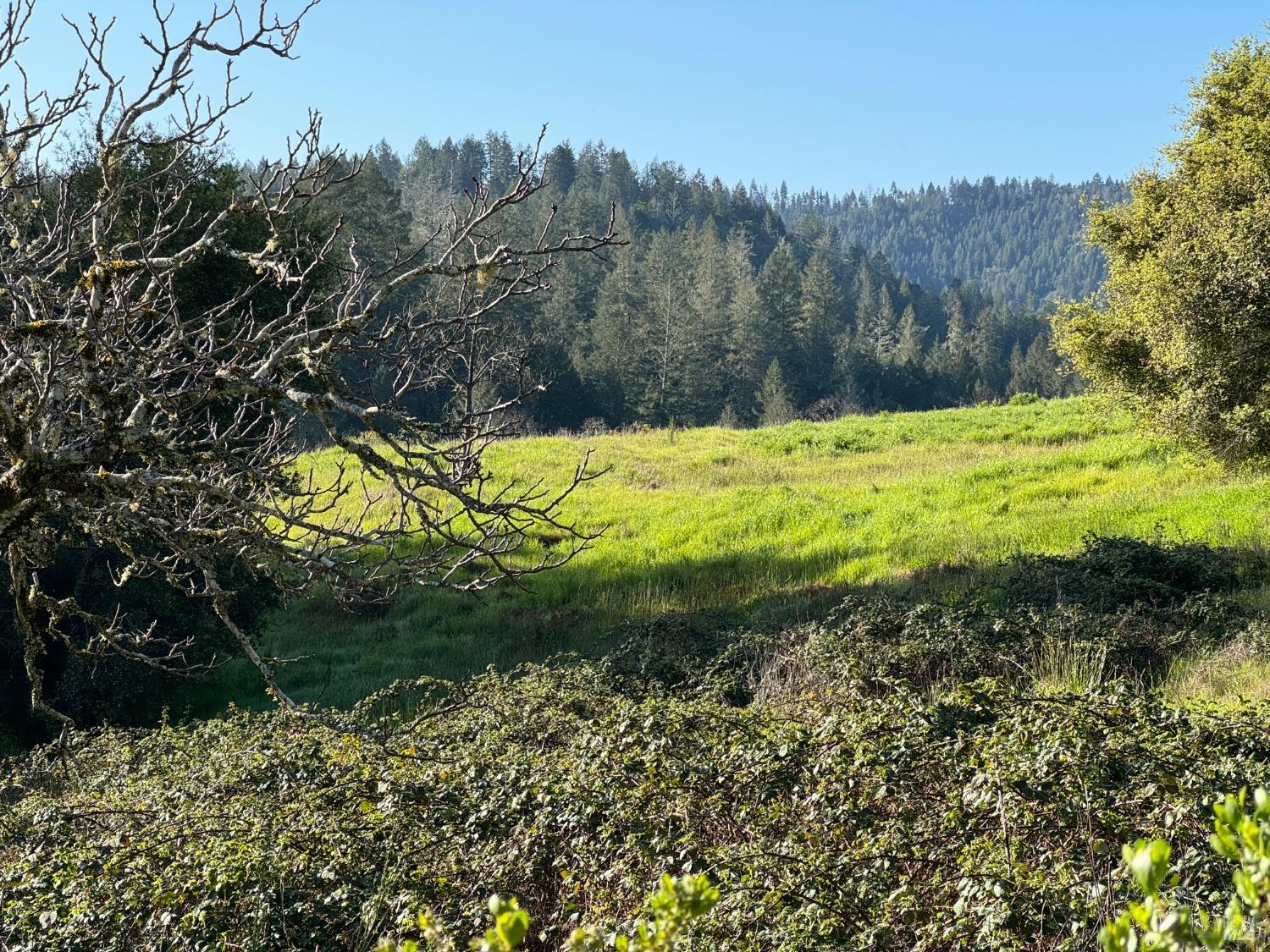 2660 Wallace Creek Road