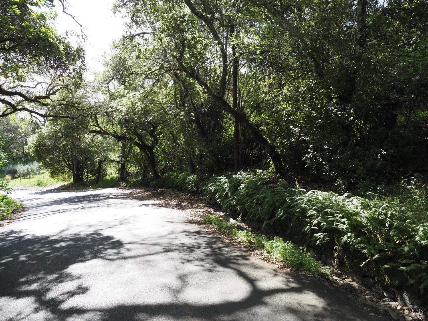 1077 Westside Road