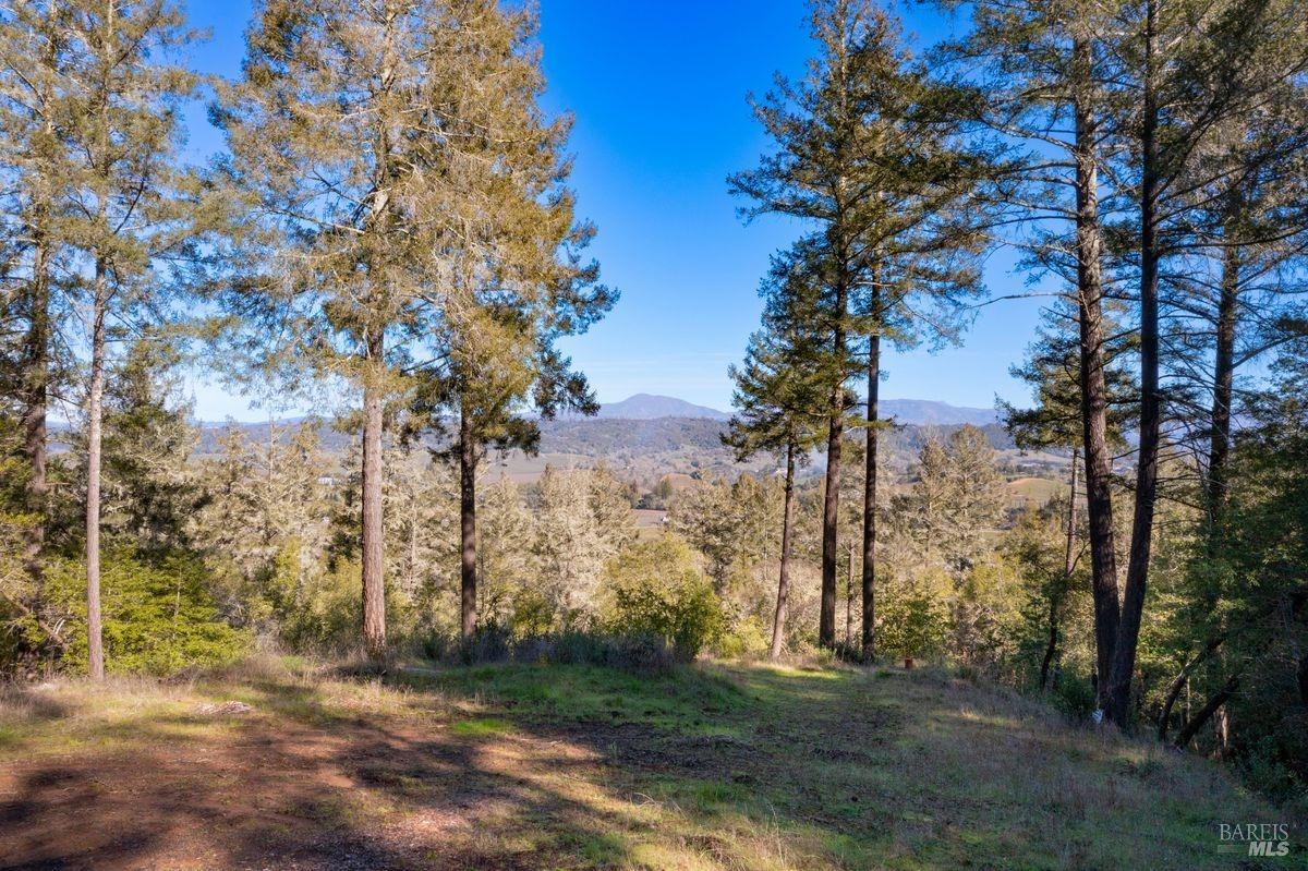 3210 W Dry Creek Road